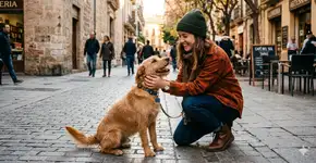 O que a psicologia diz sobre pessoas que sempre acariciam os cachorros na rua?