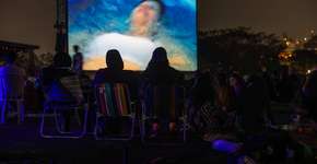 Foto: (Divulgação Ipê Amarelo Comunicação / W. Togumi)