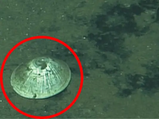 Descoberta submersa a quase 6 km abaixo do oceano