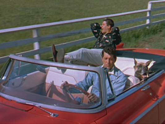 Ou vai ou racha - reprodução 