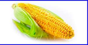 Foto: (Imagem sem texto alternativo disponivel ID [1060811])