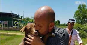 Cadela se recusa a sair de perto de homem que a salvou de matadouro