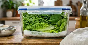 Para que serve colocar uma folha de papel toalha no pote de salada e como guardar para ela nunca murchar na gaveta