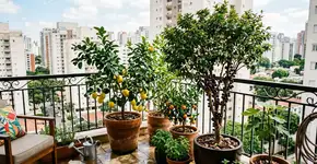 Foto: (Imagem sem texto alternativo disponivel ID [2776499])