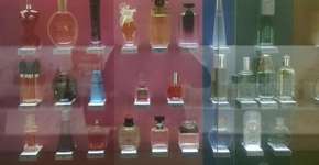 Foto: (Imagem sem texto alternativo disponivel ID [1850500])