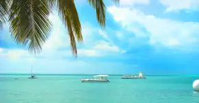 Foto: (André Cecim/iStock)