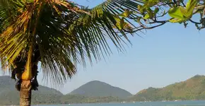 Litoral de SP tem 43 praias impróprias para banho; veja lista