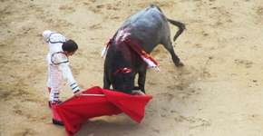 Foto: (Imagem sem texto alternativo disponivel ID [721253])