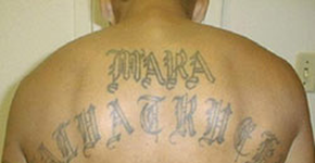 Foto: (Imagem sem texto alternativo disponivel ID [1867018])