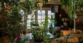 Foto: (Lorado/istock)