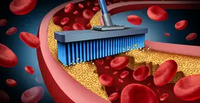 Fruta que todos conhecem ajuda a reduzir colesterol ruim; saiba qual