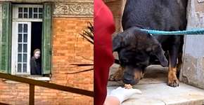 ‘Mulher da Casa Abandonada’ pediu a devolução dos cães resgatados