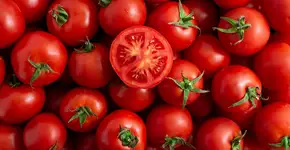 Foto: (Serhii Khrystenko/istock)