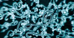 Foto: (koto_feja/istock)