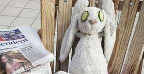 Foto: (Imagem sem texto alternativo disponivel ID [1612332])