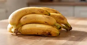 Foto: (Imagem sem texto alternativo disponivel ID [2723028])