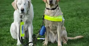 Foto: (Imagem sem texto alternativo disponivel ID [753944])