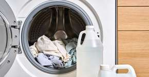 Foto: (Imagem sem texto alternativo disponivel ID [2698537])