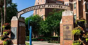 Foto: (Matt Pendleton Photography/iStock)