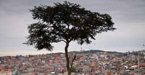 Agência Mural quer desconstruir estereótipos dos bairros periféricos de SP