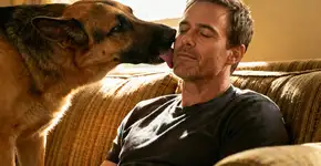 Por que seu cão não para de lamber e quando isso preocupa