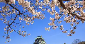 Foto: (Divulgação/MSC Cruzeiros)