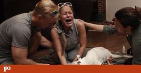 Foto: (Imagem sem texto alternativo disponivel ID [1866893])