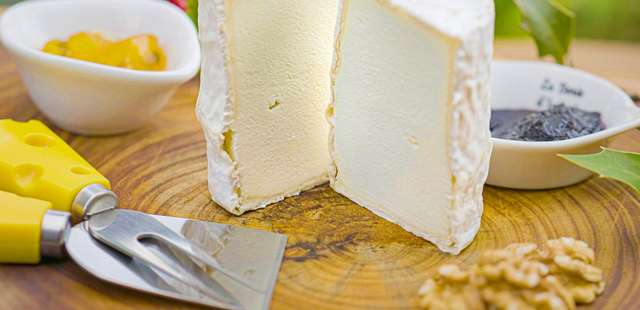 Feira Gosto SA – Sabor Artesanal