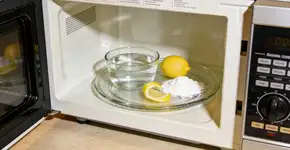 Foto: (Imagem sem texto alternativo disponivel ID [2677251])