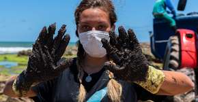 Projeto conta histórias de voluntários que atuaram pelo meio ambiente