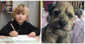 Foto: (Imagem sem texto alternativo disponivel ID [1619183])