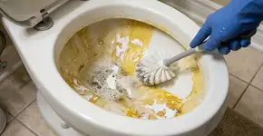 Seu vaso sanitário não é limpo há semanas? Um remédio caseiro vai remover as manchas amarelas de uma vez