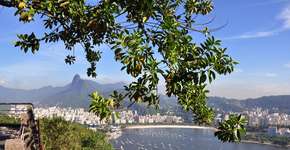 Ecobarcos recolhem lixo da Baía de Guanabara