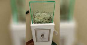 Abrigo de animais recebe doação anônima de R$ 26 mil