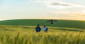 Foto: (evandrorigon/iStock)