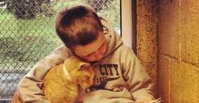 Campanha de incentivo à leitura e à adoção de animais abandonados faz sucesso com fotos de crianças ‘lendo para gatos’