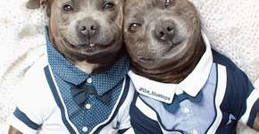 Foto: (Imagem sem texto alternativo disponivel ID [941005])