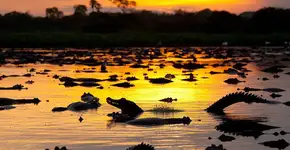 Foto: (Cristian Dimitrius/Divulação)