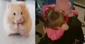 Foto: (Imagem sem texto alternativo disponivel ID [1613080])