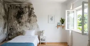 Poucos sabem: as maneiras mais eficazes de eliminar o mofo das paredes do seu quarto