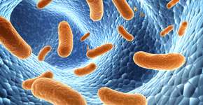 Foto: (Depositphotos/frenta)