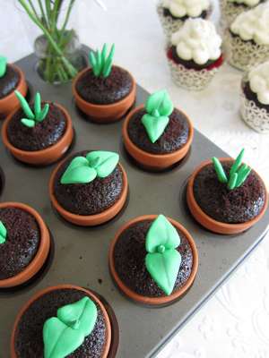 Os vasinhos de plantas são cupcakes