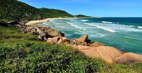 Latam tem passagens em promoção a partir de R$ 161