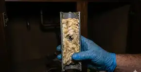 Demorei muito para entender por que o óleo de cozinha não deve ser jogado no ralo da pia