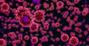 Estudo sugere que imunidade conferida pela variante Ômicron é menor