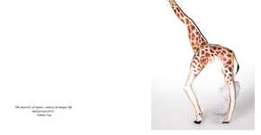 Foto: (Imagem sem texto alternativo disponivel ID [582262])