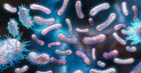 Shigella: infecção sexualmente transmissível que todos deveriam conhecer