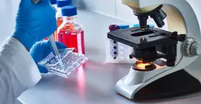 Paciente com paralisia volta a ficar em pé após implante com células-tronco