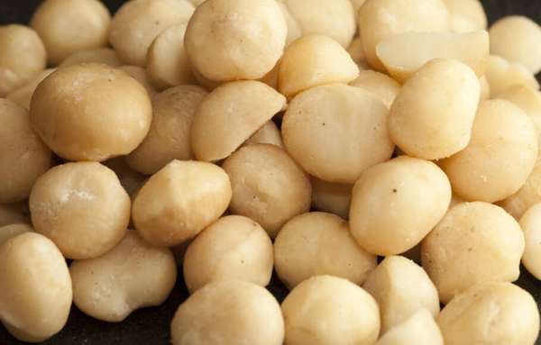 Macadâmia concorrente na categoria Da Terra