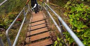 Foto: (Imagem sem texto alternativo disponivel ID [1864367])